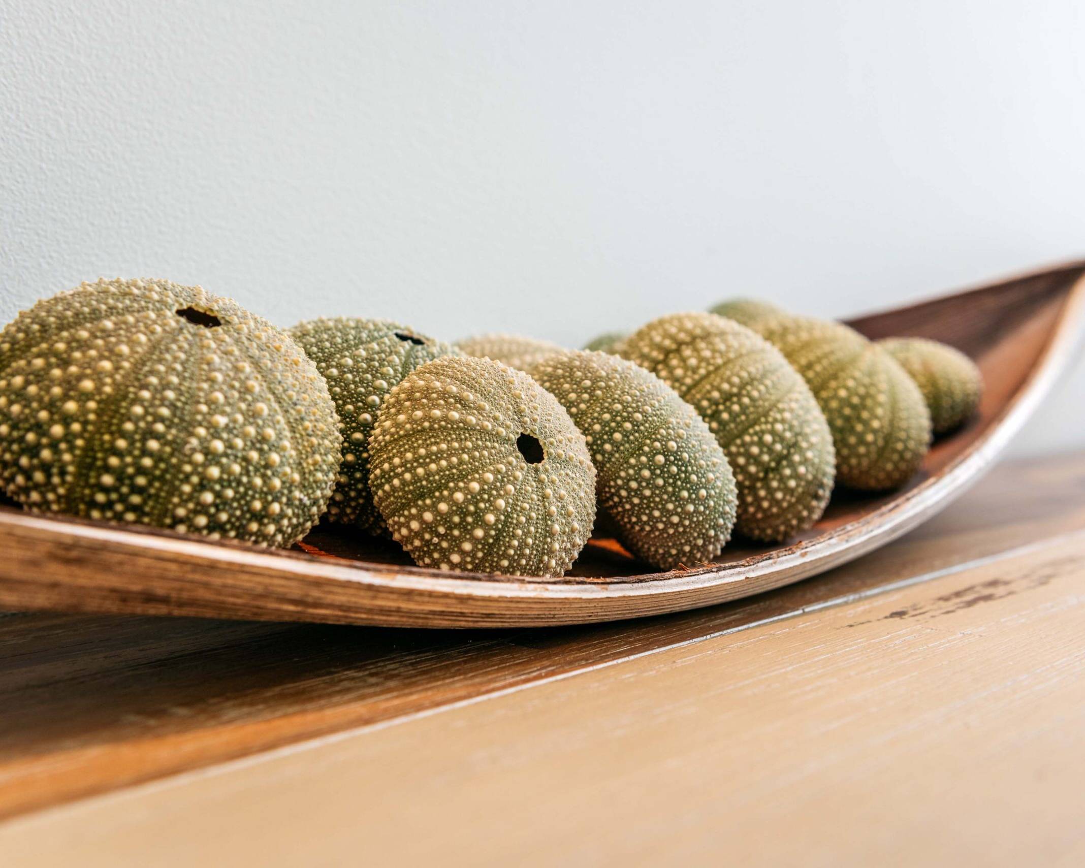 indoor collections