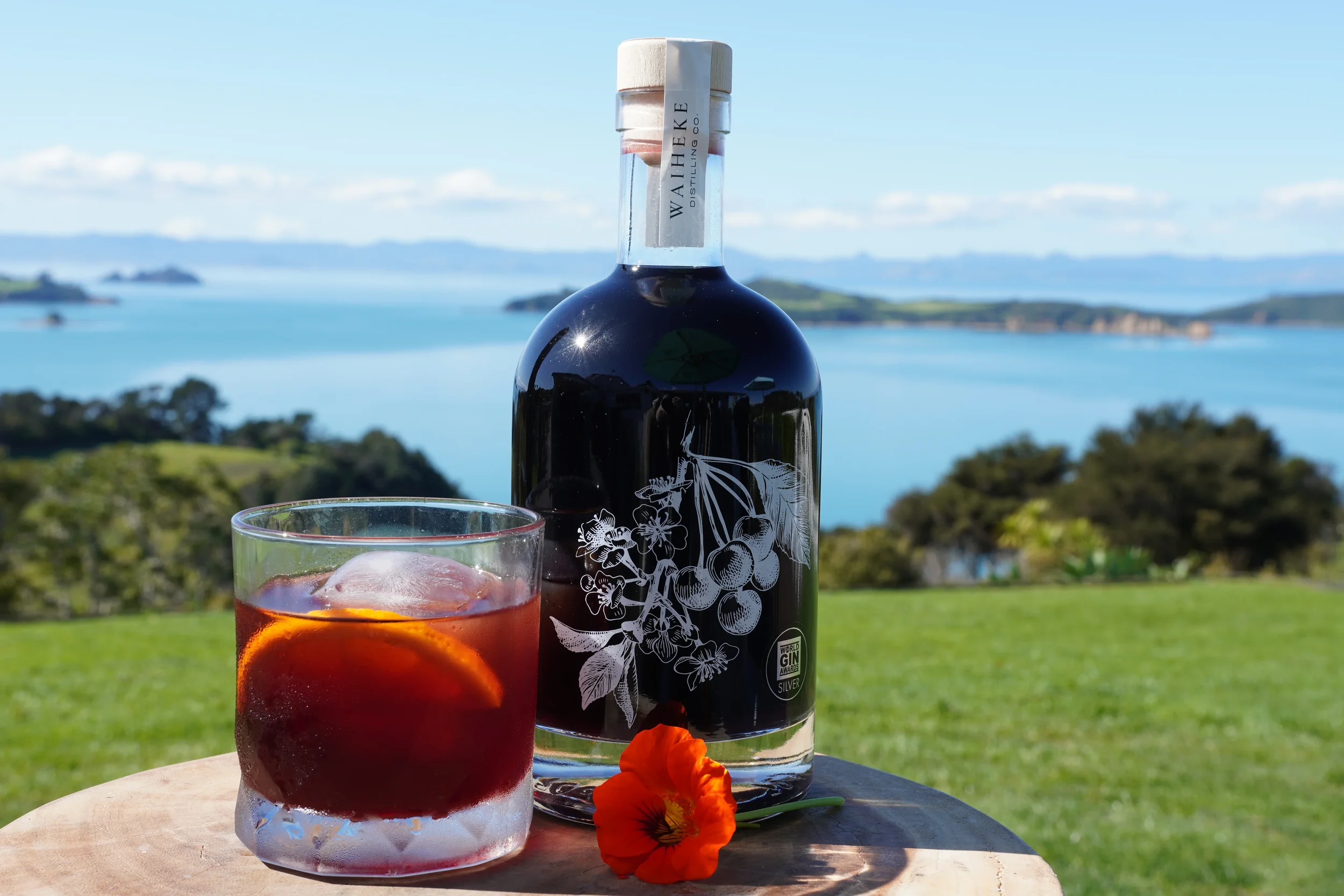 Negroni in waiheke sun